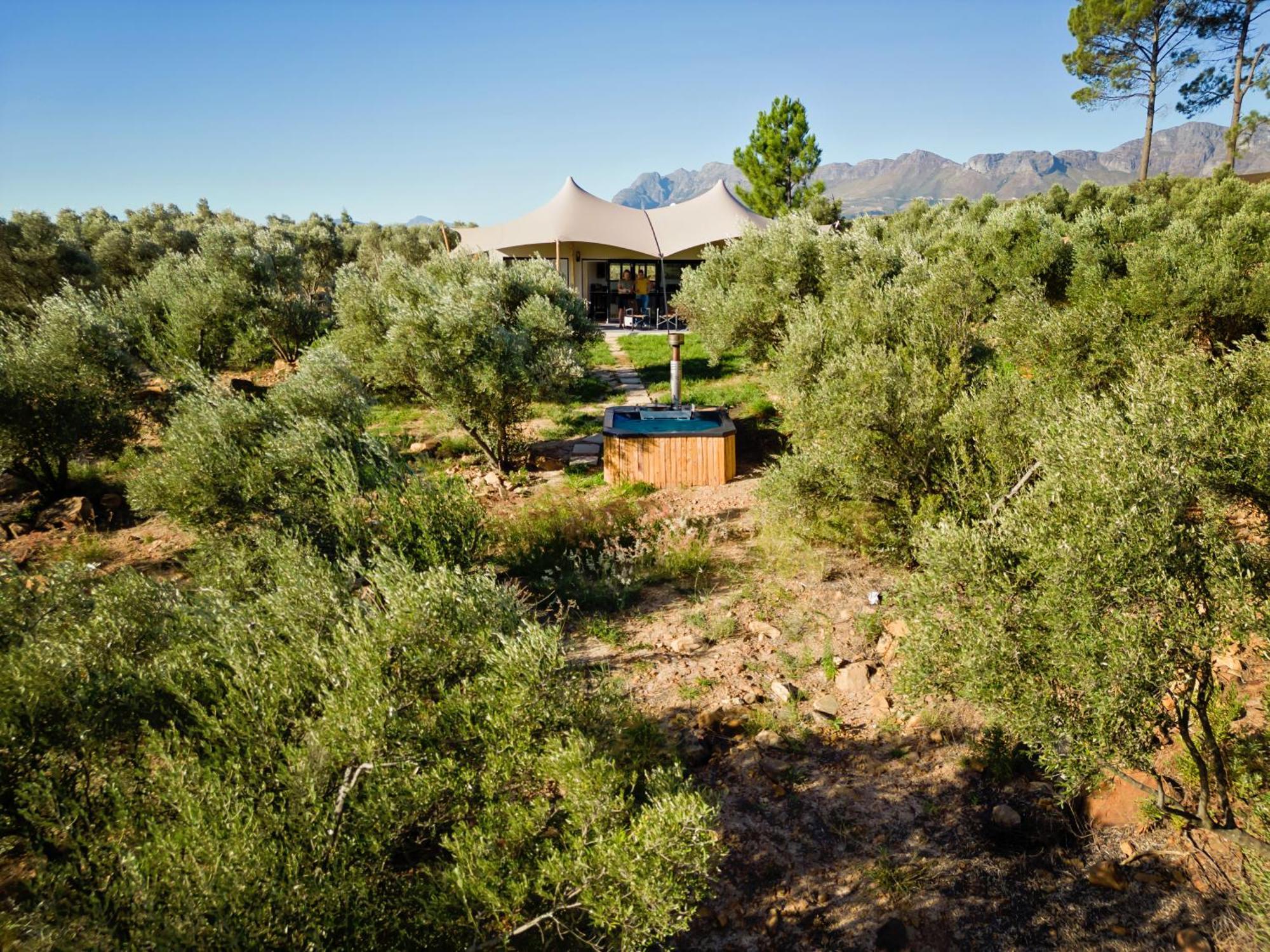 Wagyu Mountain Lodge Paarl Exterior photo