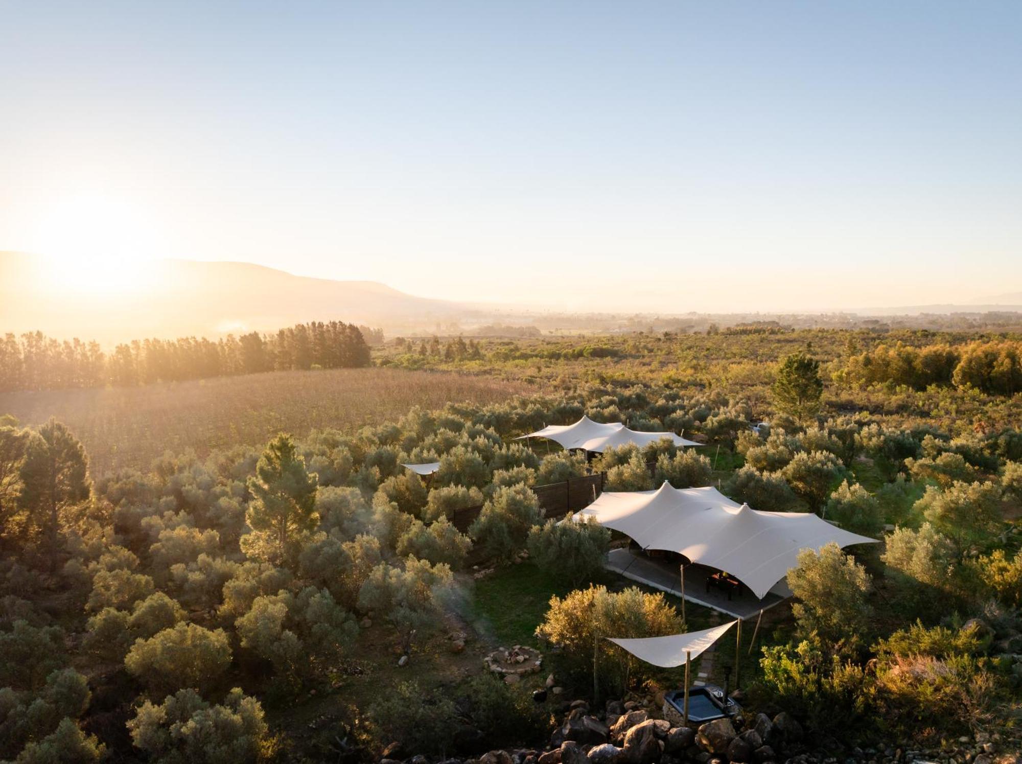 Wagyu Mountain Lodge Paarl Exterior photo